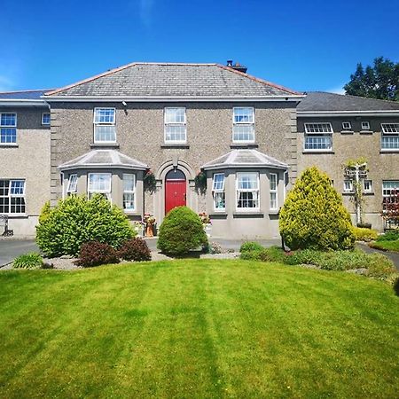 Shannonside House N37Hf67 Athlone Dış mekan fotoğraf
